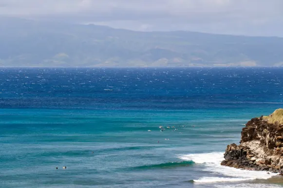 Casombie Casino Support